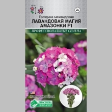 Гвоздика Лавандовая Магия Амазонки F1 (межвидовая) - Семена Тут