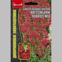 Гейхера Bressingham Hybrids кроваво-красная (большой пакет) - Семена Тут