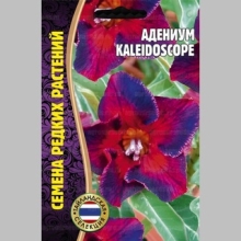 Адениум Kaleidoscope (тучный) (большой пакет) - Семена Тут