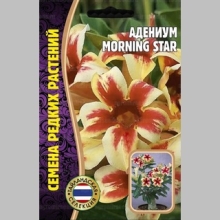 Адениум Morning Star (тучный) (большой пакет) - Семена Тут