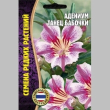Адениум Танец Бабочки (тучный) (большой пакет) - Семена Тут