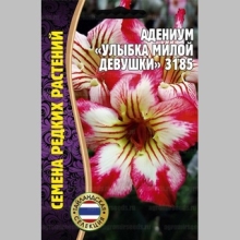 Адениум Улыбка Милой Девушки 3185 (тучный) (большой пакет) - Семена Тут