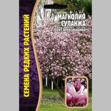 Магнолия Суланжа (большой пакет) - Семена Тут