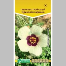 Гибискус Одинокая гармонь (тройчатый) - Семена Тут
