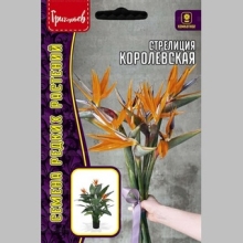 Стрелиция Королевская (большой пакет) - Семена Тут