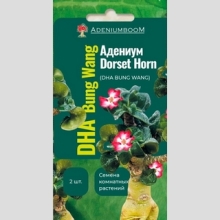 Адениум Dorset Horn Bung Wang - Семена Тут