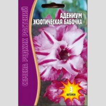 Адениум Экзотическая Бабочка (тучный) (большой пакет) - Семена Тут