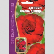 Адениум Красна Девица (тучный) (большой пакет) - Семена Тут