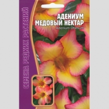 Адениум Медовый Нектар (тучный) (большой пакет) - Семена Тут