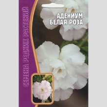 Адениум Белая Роза (тучный) (большой пакет) - Семена Тут