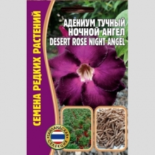 Адениум Ночной Ангел (тучный) (большой пакет) - Семена Тут