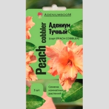 Адениум Peach Cobbler (тучный) - Семена Тут