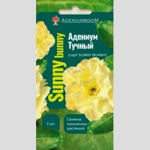 Адениум Sunny Bunny (тучный) - Семена Тут