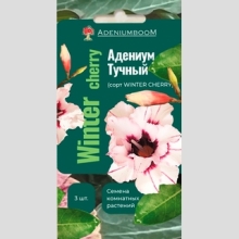 Адениума Winter Cherry (тучный) - Семена Тут