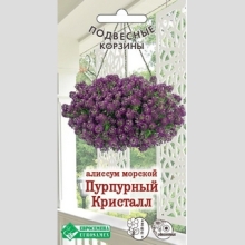 Алиссум Пурпурный Кристалл (морской) - Семена Тут