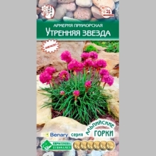 Армерия Утренняя Звезда (приморская) - Семена Тут