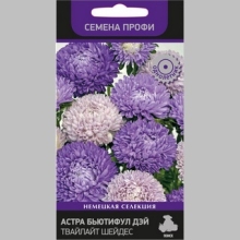 Астра Бьютифул Дэй Твайлайт Шейдес (Семена Профи) - Семена Тут