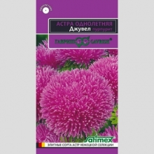 Астра Джувел Пурпурит - Семена Тут
