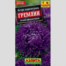Астра Гремлин Темно-фиолетовая - Семена Тут