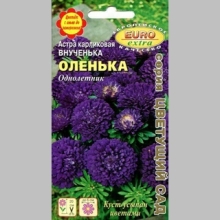 Астра Внученька Оленька - Семена Тут