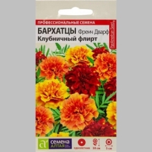 Бархатцы Френч Дварф Клубничный флирт - Семена Тут