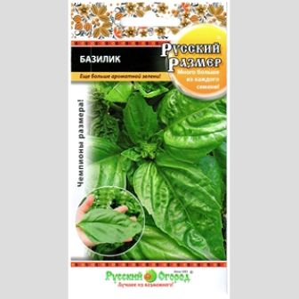 Базилик Русский размер