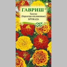 Бархатцы Брокада смесь - Семена Тут