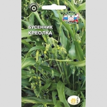 Бусенник Креолка - Семена Тут