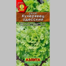 Салат Кучерявец Одесский (полукочанный) - Семена Тут