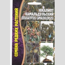 Эвкалипт Камадульский (большой пакет) - Семена Тут