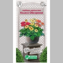 Гербера Колесо Обозрения (Джеймсона) - Семена Тут