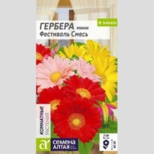 Гербера Фестиваль (мини) смесь - Семена Тут