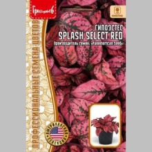 Гипоэстес Splash Select Red (большой пакет) - Семена Тут