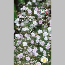 Гипсофила Акулина (тихоокеанская) - Семена Тут