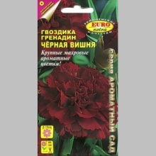 Гвоздика Чёрная вишня (Гренадин) - Семена Тут