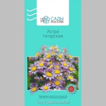 Астра Татарская - Семена Тут