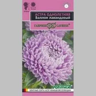 Астра Баллон лавандовый