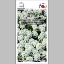 Иберис Метелица - Семена Тут