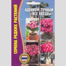 Адениум Все звёзды (тучный) (большой пакет) - Семена Тут