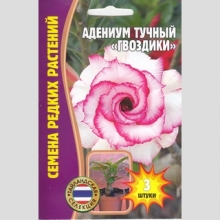 Адениум Гвоздики (тучный) (большой пакет) - Семена Тут
