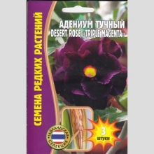 Адениум Triple Magenta (тучный) (большой пакет) - Семена Тут