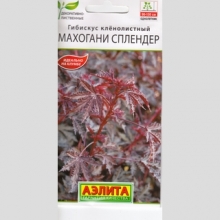 Гибискус Махогани Сплендер - Семена Тут