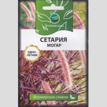 Сетария Могар (Щетинник) (большой пакет) - Семена Тут