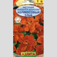 Настурция Абрикосовый эльф (плетистая) - Семена Тут