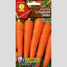 Морковь Сладкая зима - Семена Тут