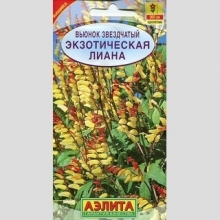 Вьюнок Экзотическая лиана звездчатый - Семена Тут
