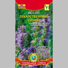 Иссоп Синий - Семена Тут