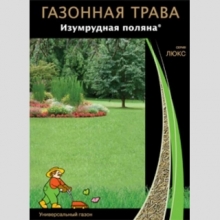 Газонная трава Изумрудная поляна 100гр (коробка) (большой пакет) - Семена Тут