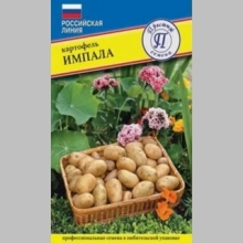 Картофель Импала - Семена Тут