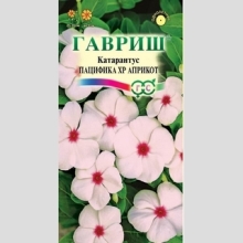 Катарантус Пацифика XP Априкот - Семена Тут